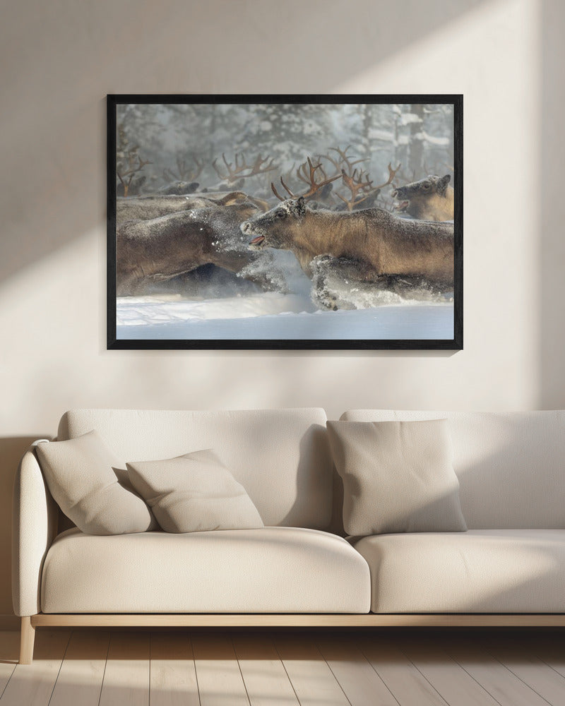 Reindeers III | Canvas