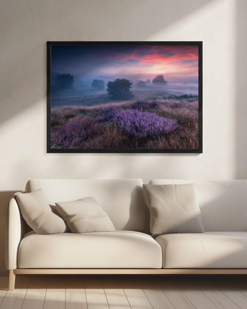 "the colors of heather" | Canvas