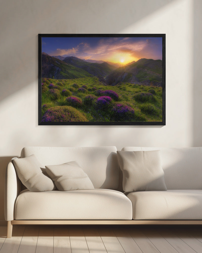 spring in show | Canvas