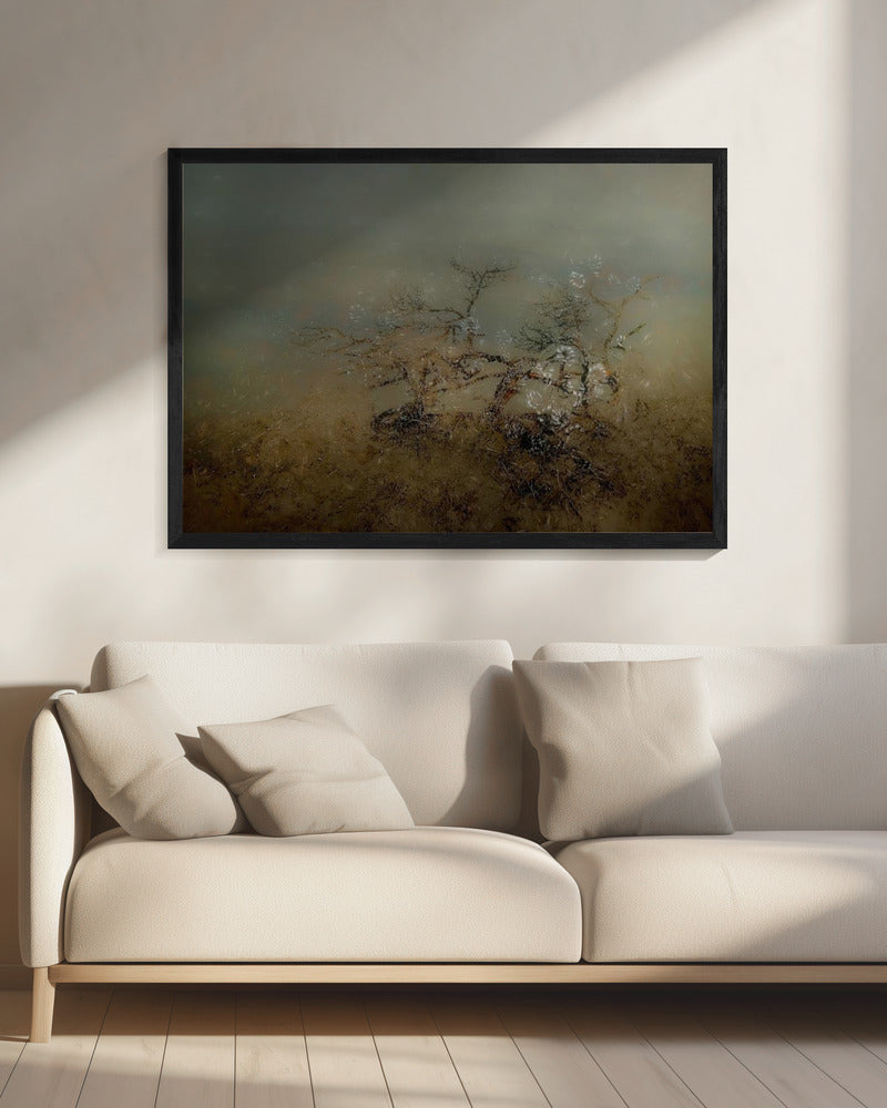 Old tree | Canvas