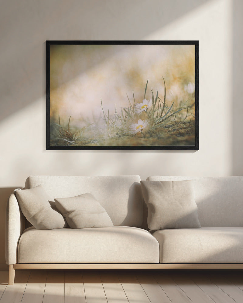 Untitled | Canvas