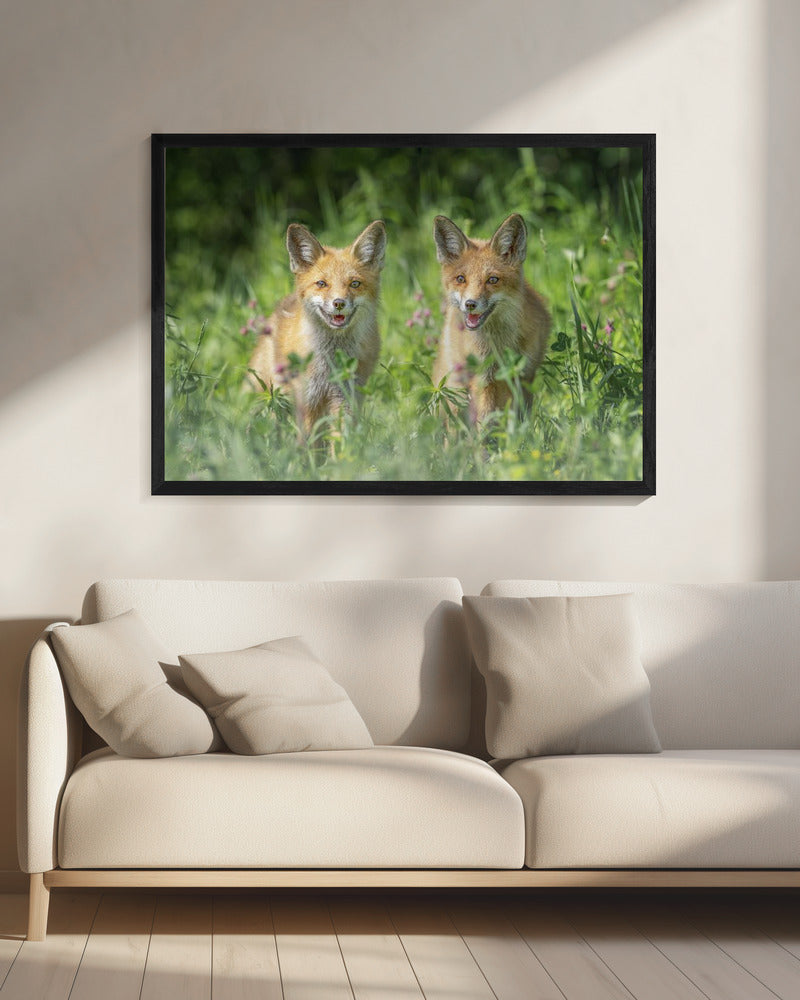 Brothers | Canvas