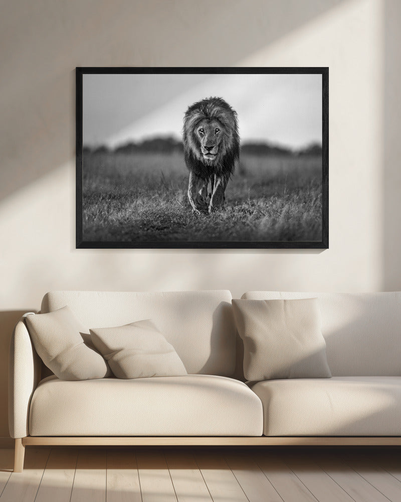 Old boy | Canvas