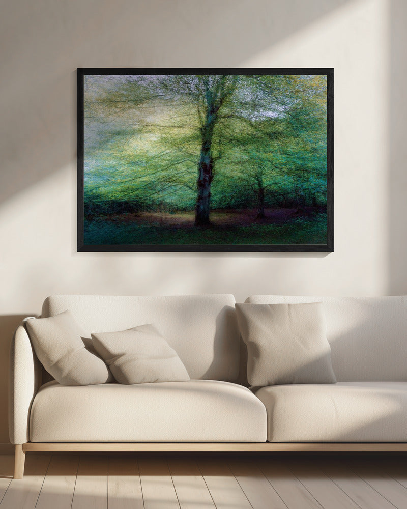 forest | Canvas