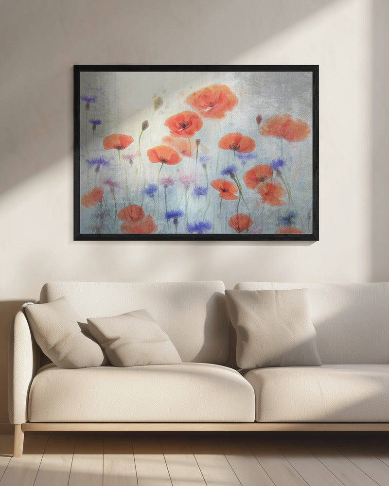 Poppy | Canvas