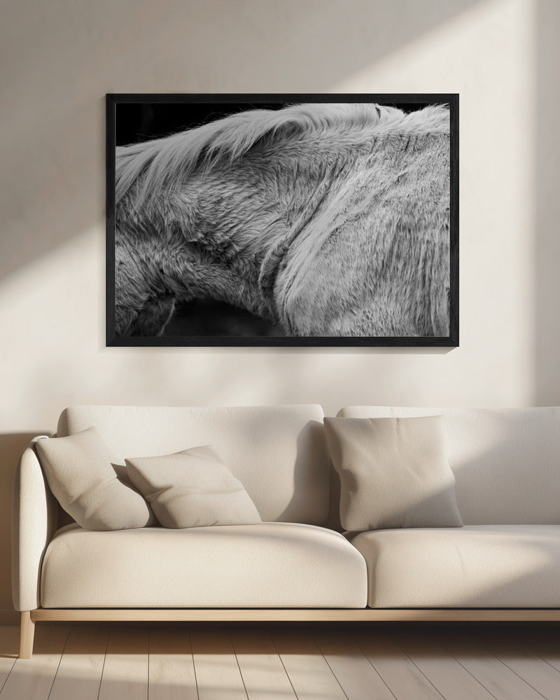 Horse II | Canvas