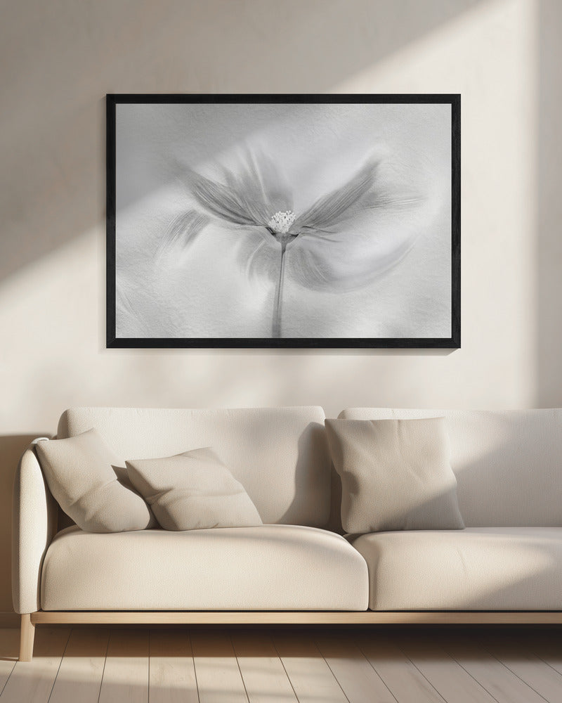Dancing Cosmos | Canvas