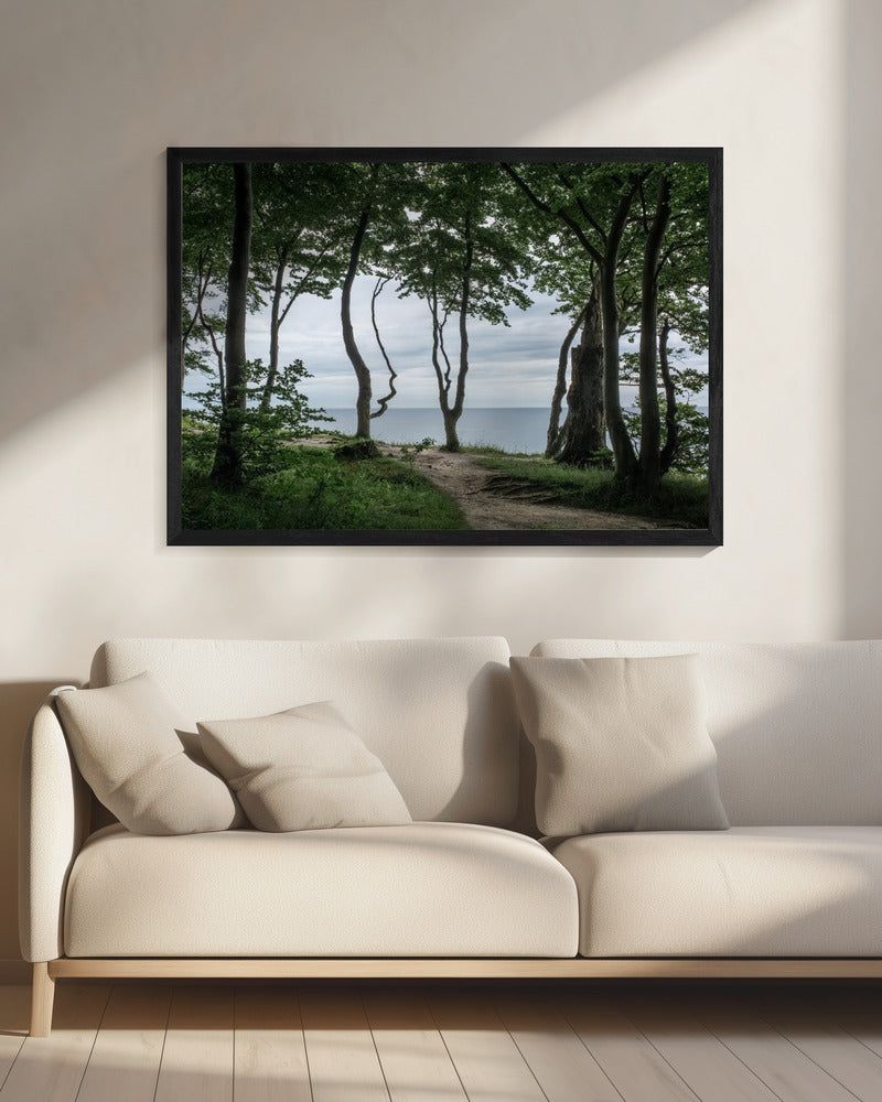 Forest At the Sea 2 | Canvas