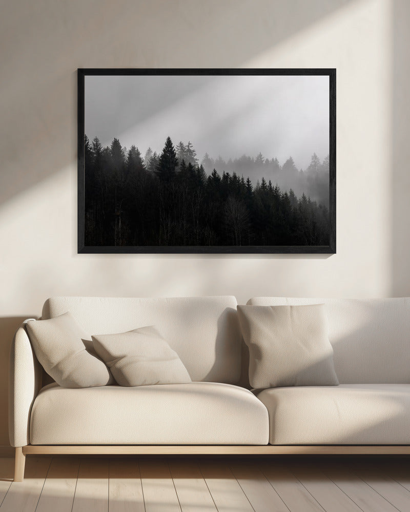 Foggy Woods 7 | Canvas