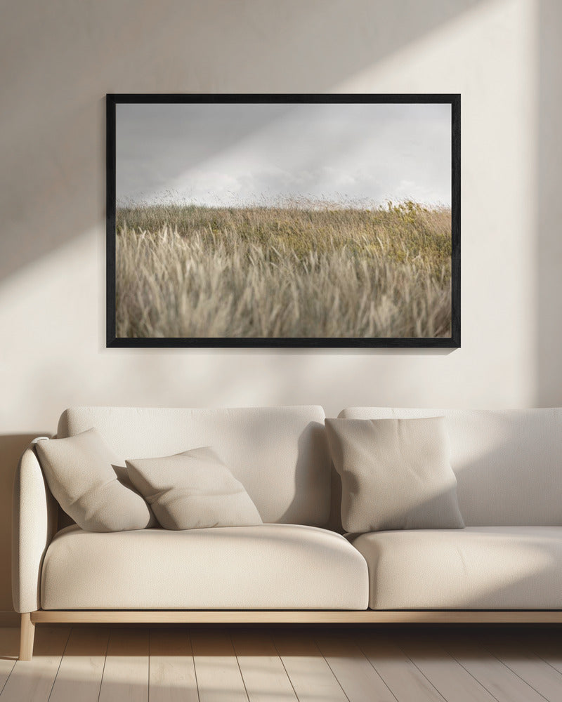Dunes and Clouds 2 | Canvas