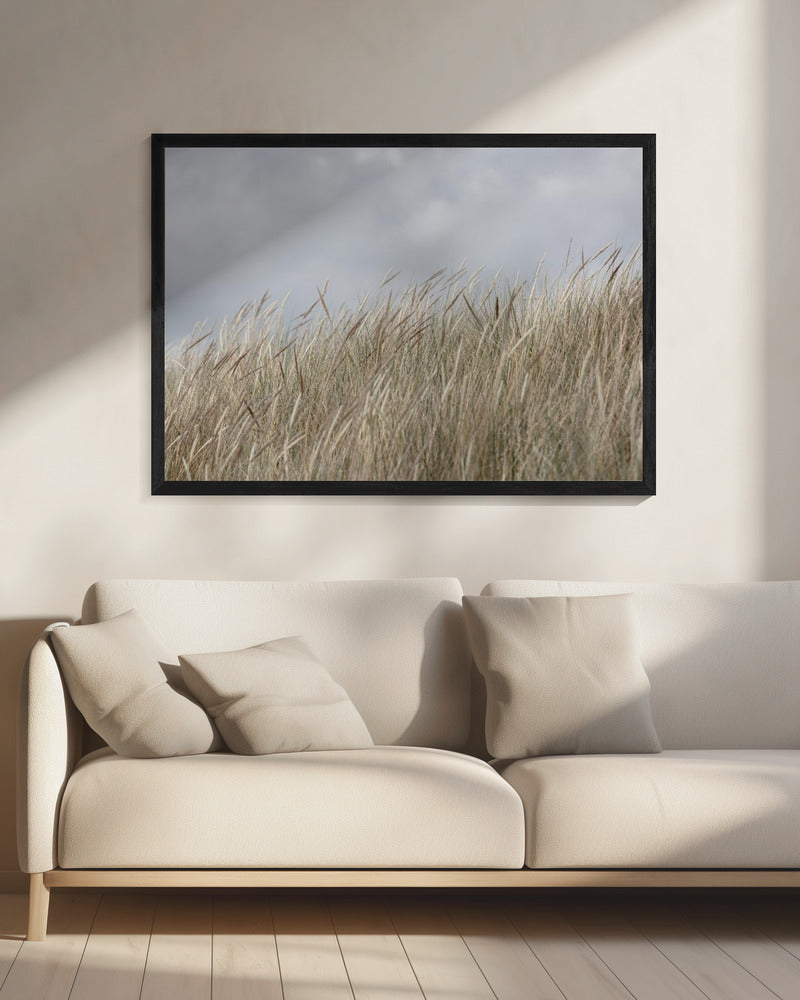 Dunes and Clouds | Canvas