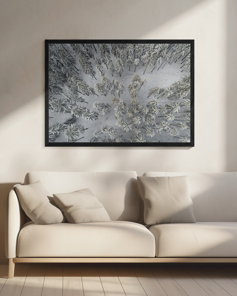 Snow Covered Trees 3 | Canvas