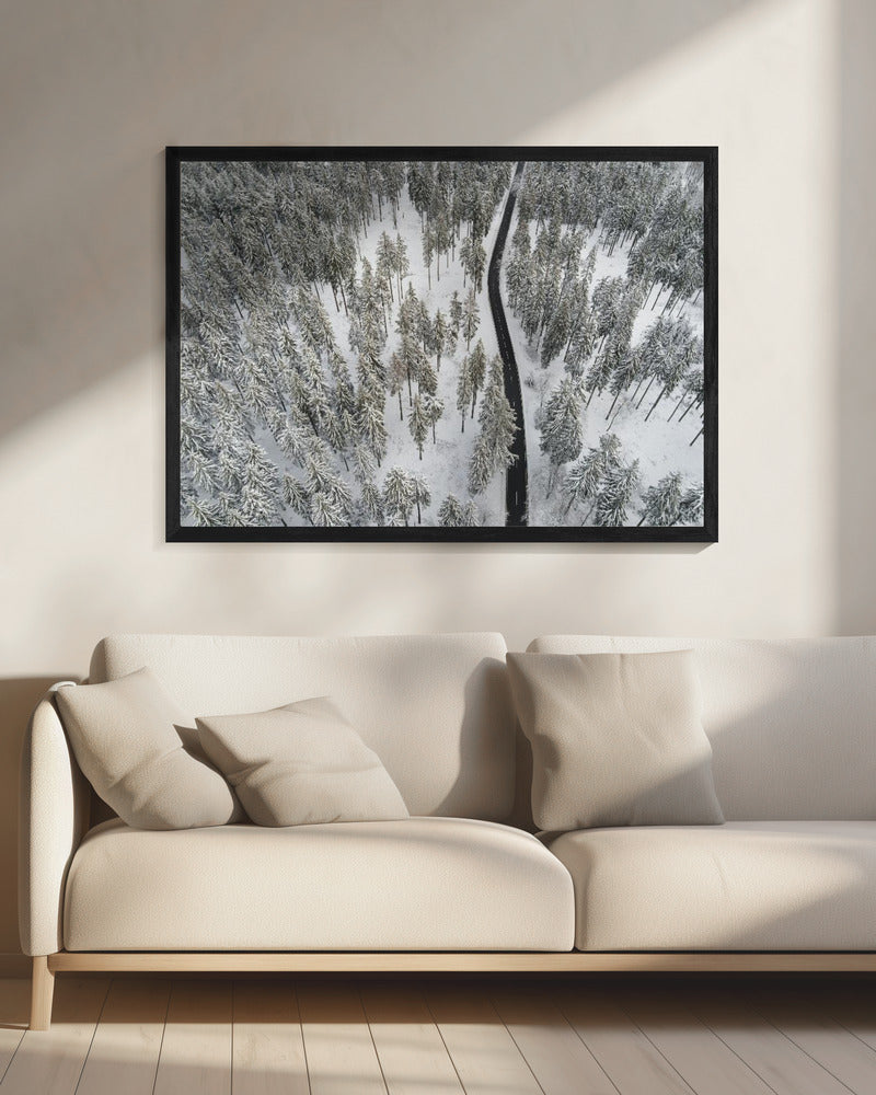 Snow Covered Trees 5 | Canvas