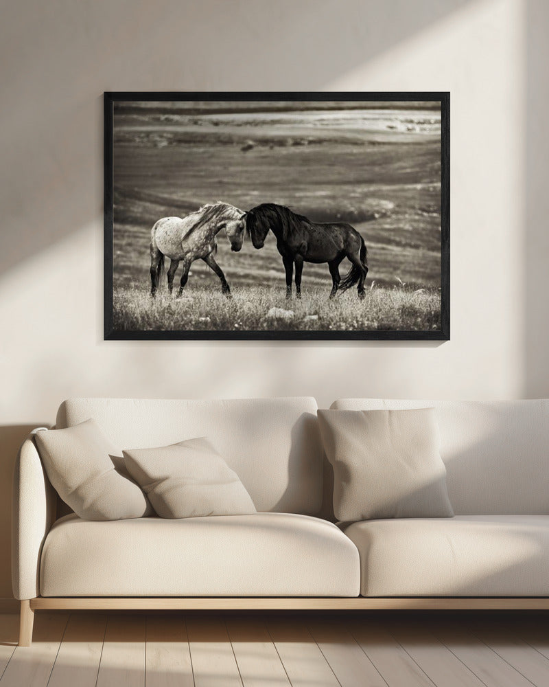 close encounter | Canvas