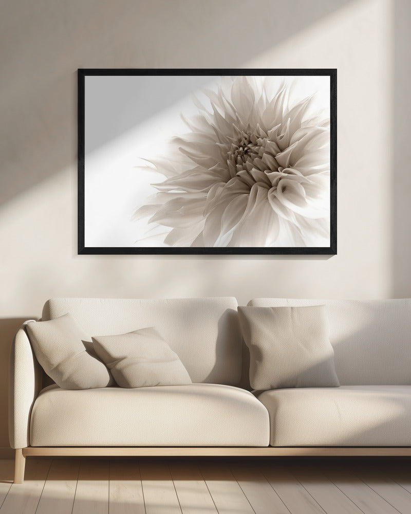 dignified | Canvas