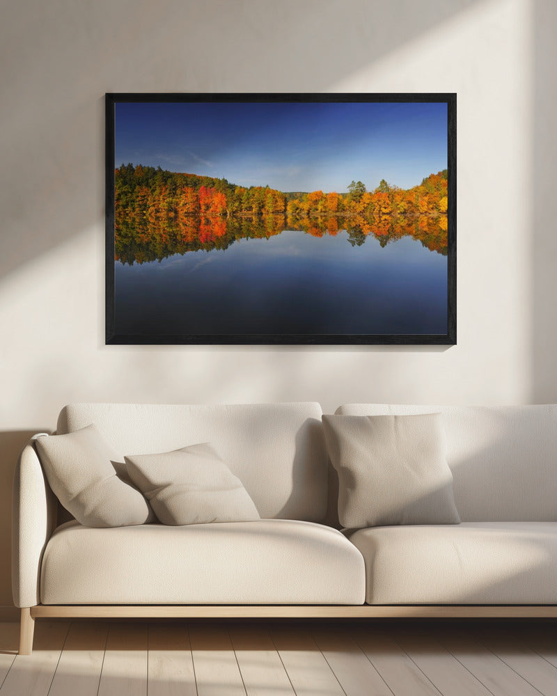 Autumn | Canvas