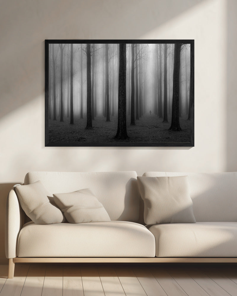 In a Fog | Canvas