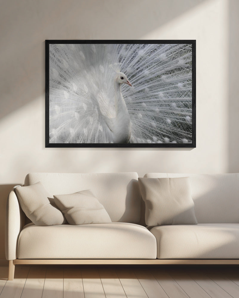 As white as snow | Canvas