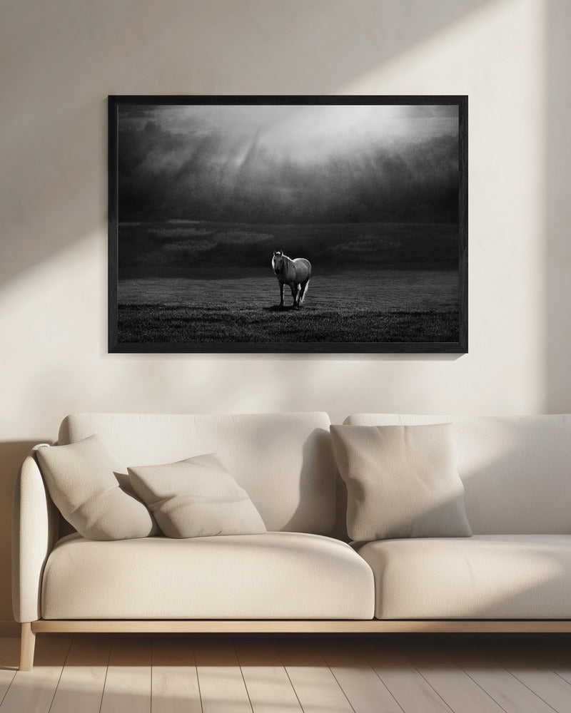 morning appearance | Canvas