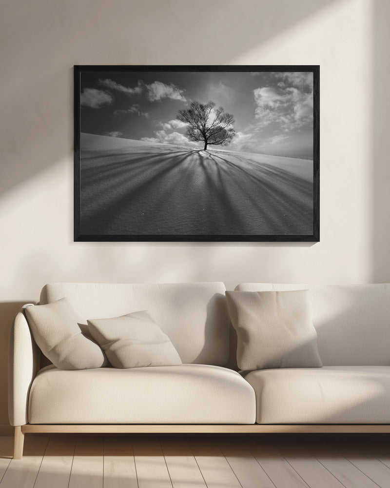 Tree Shadow | Canvas