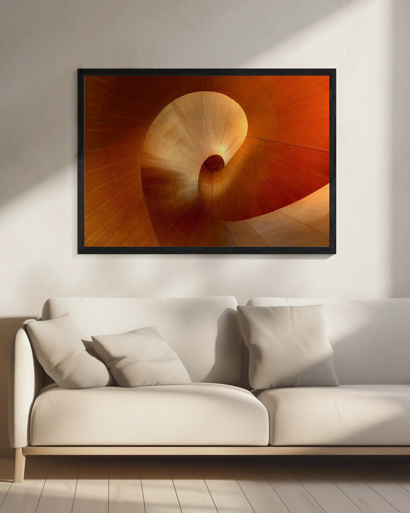 The Curve | Canvas