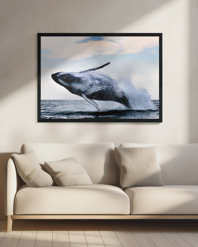 breach | Canvas