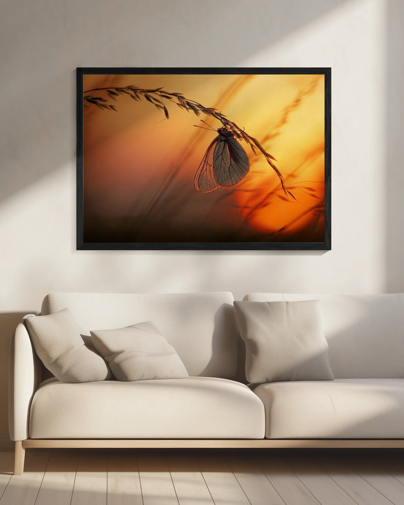 Good night | Canvas