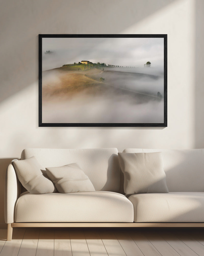 Untitled | Canvas