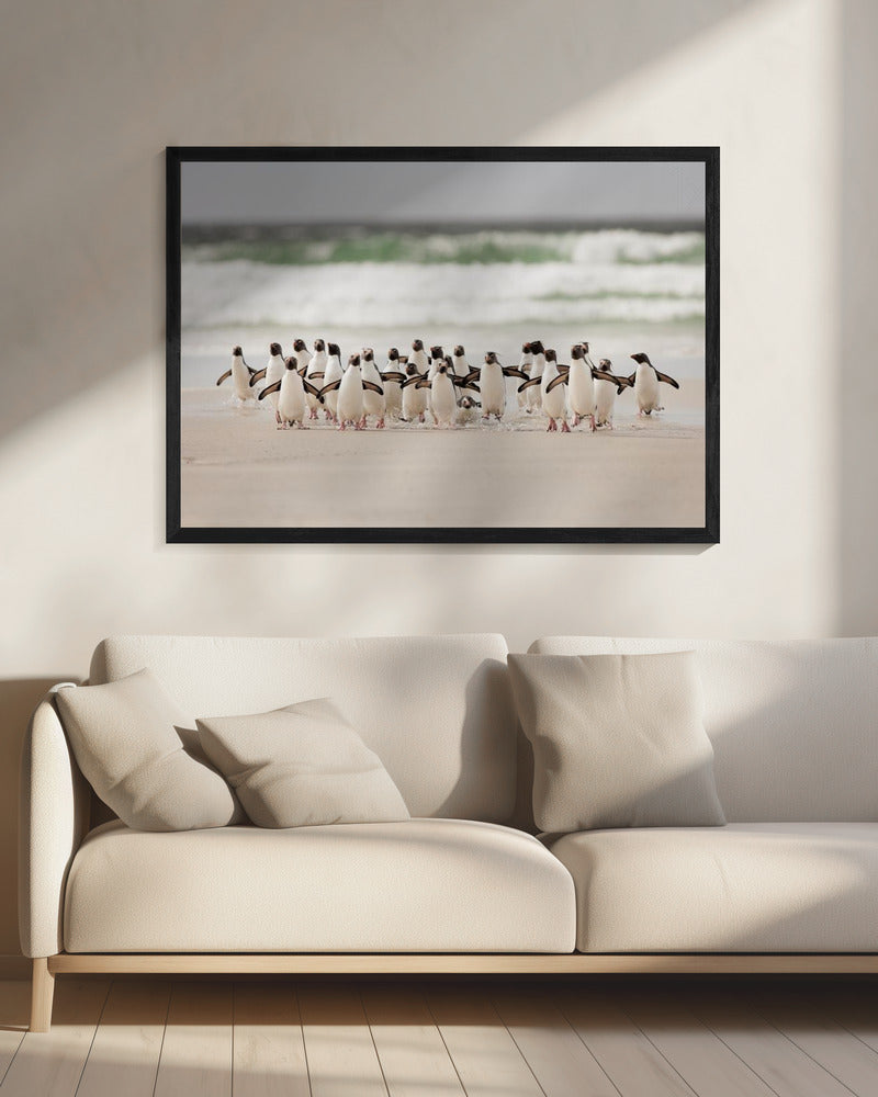 Desembarco | Canvas