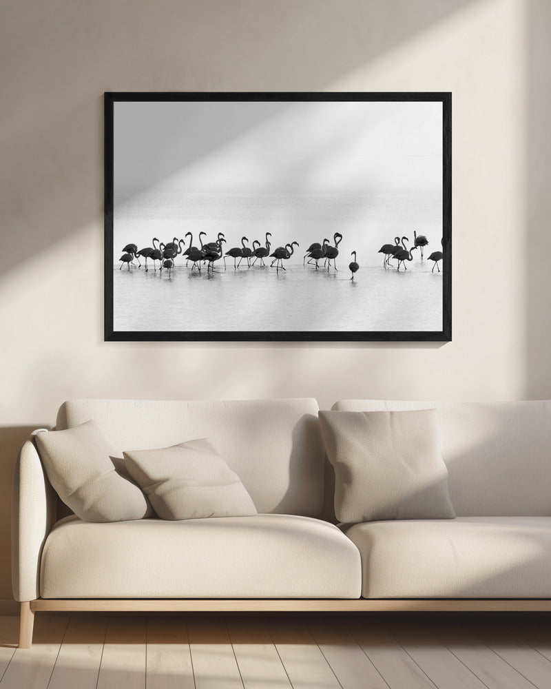 Flamingos | Canvas