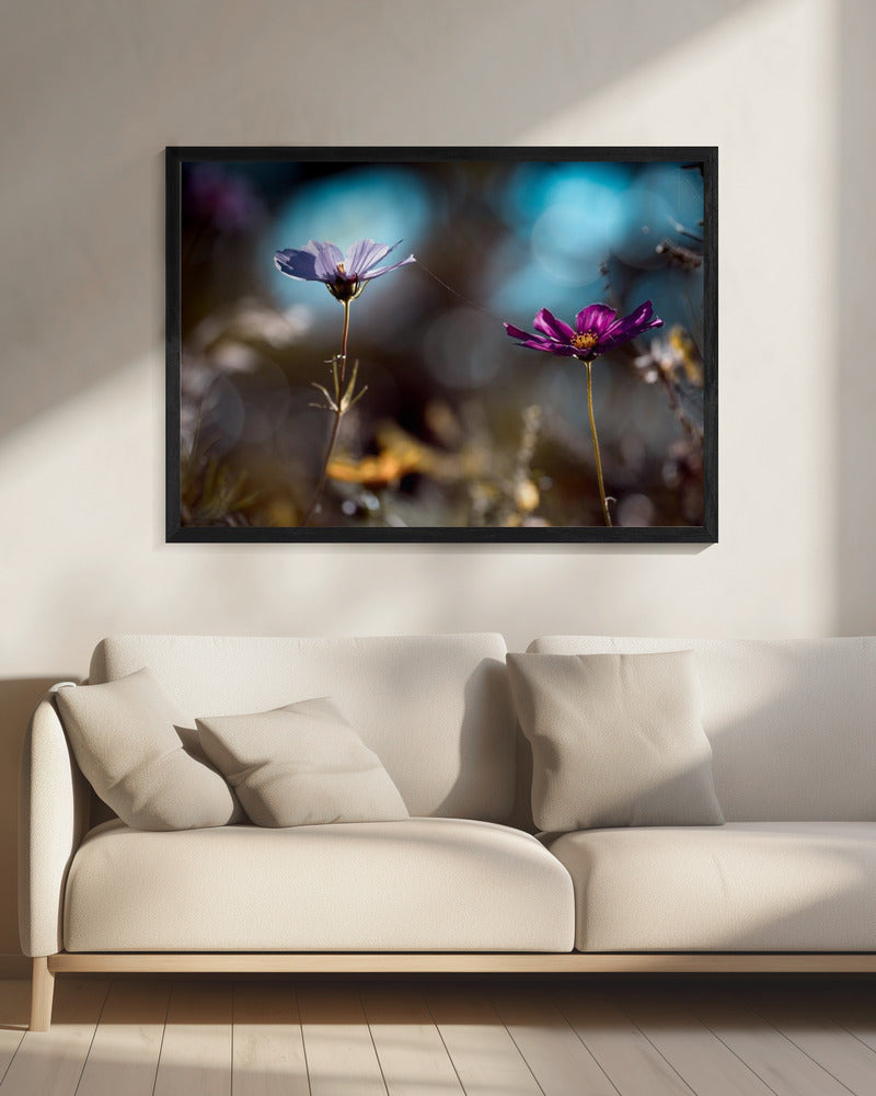 Le lien | Canvas