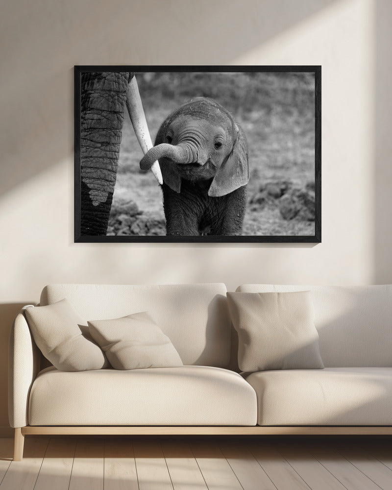 Close | Canvas