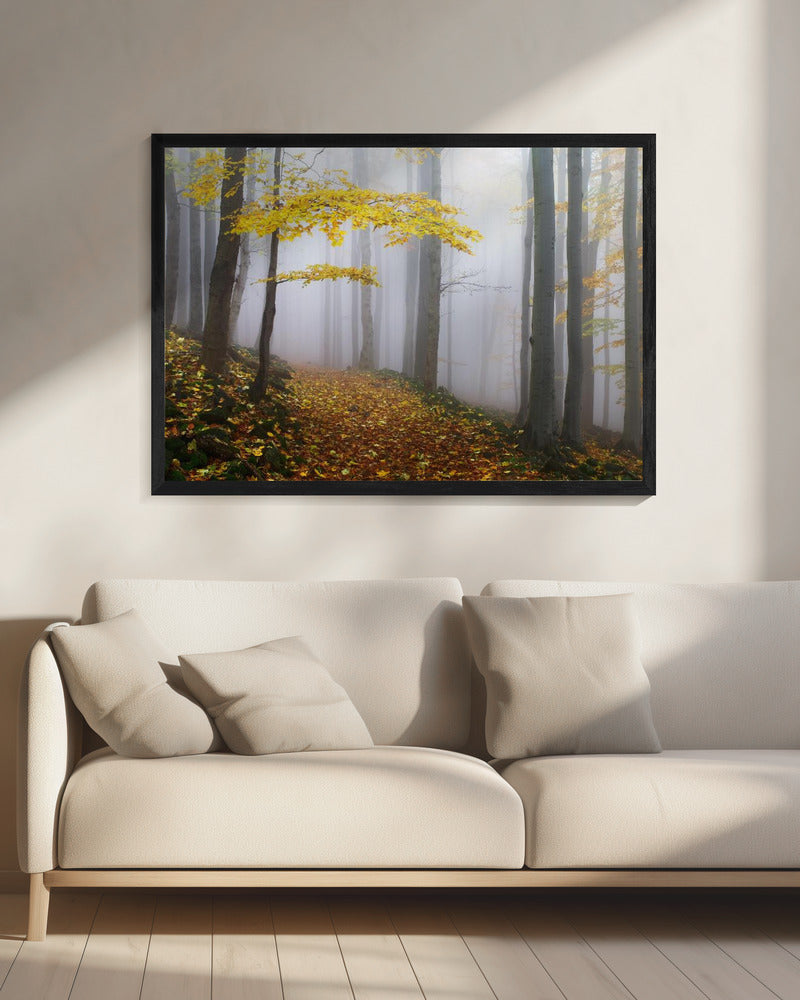Untitled | Canvas