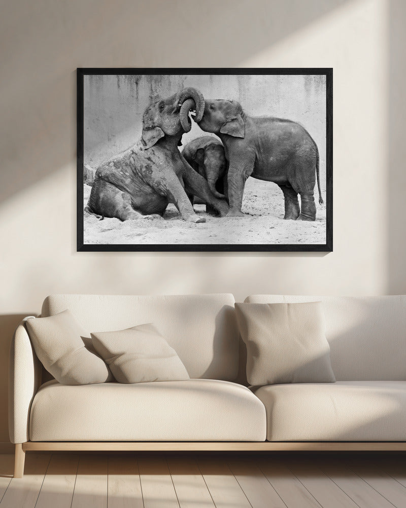 MÉNAGE À TROIS | Canvas