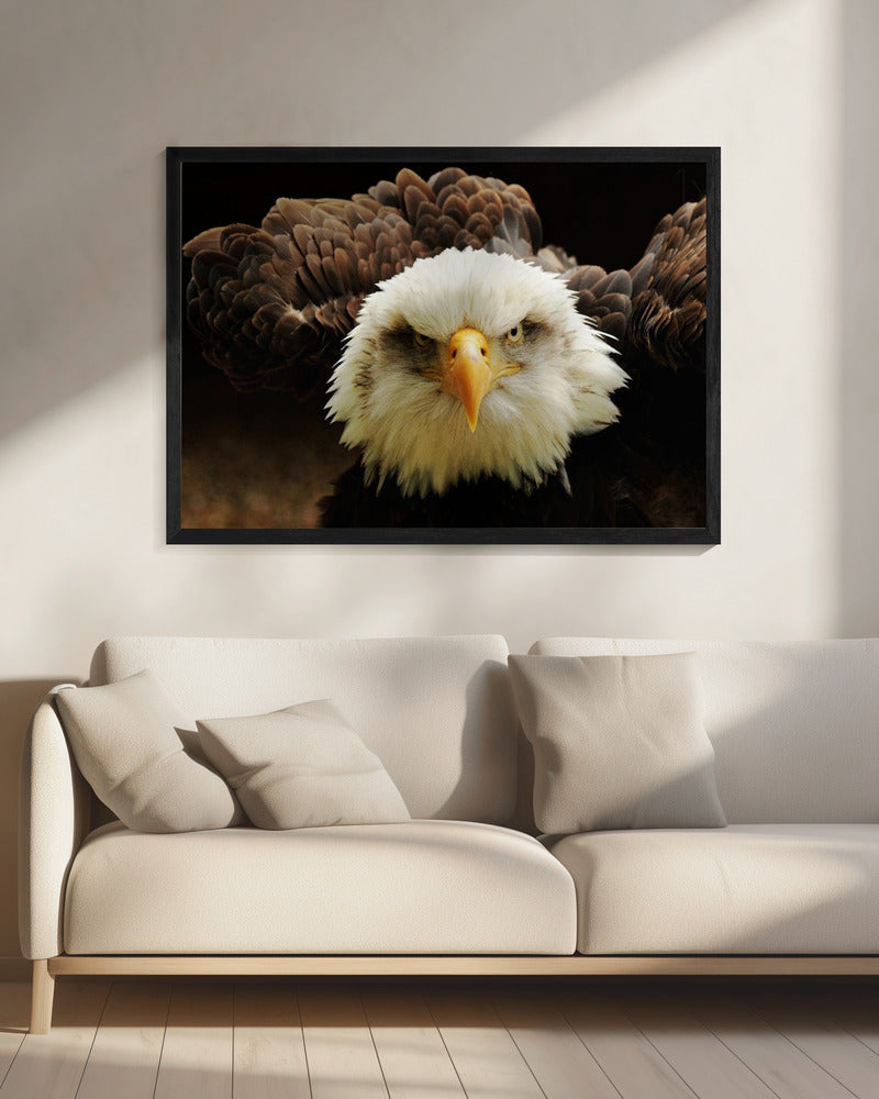 The Judge | Canvas
