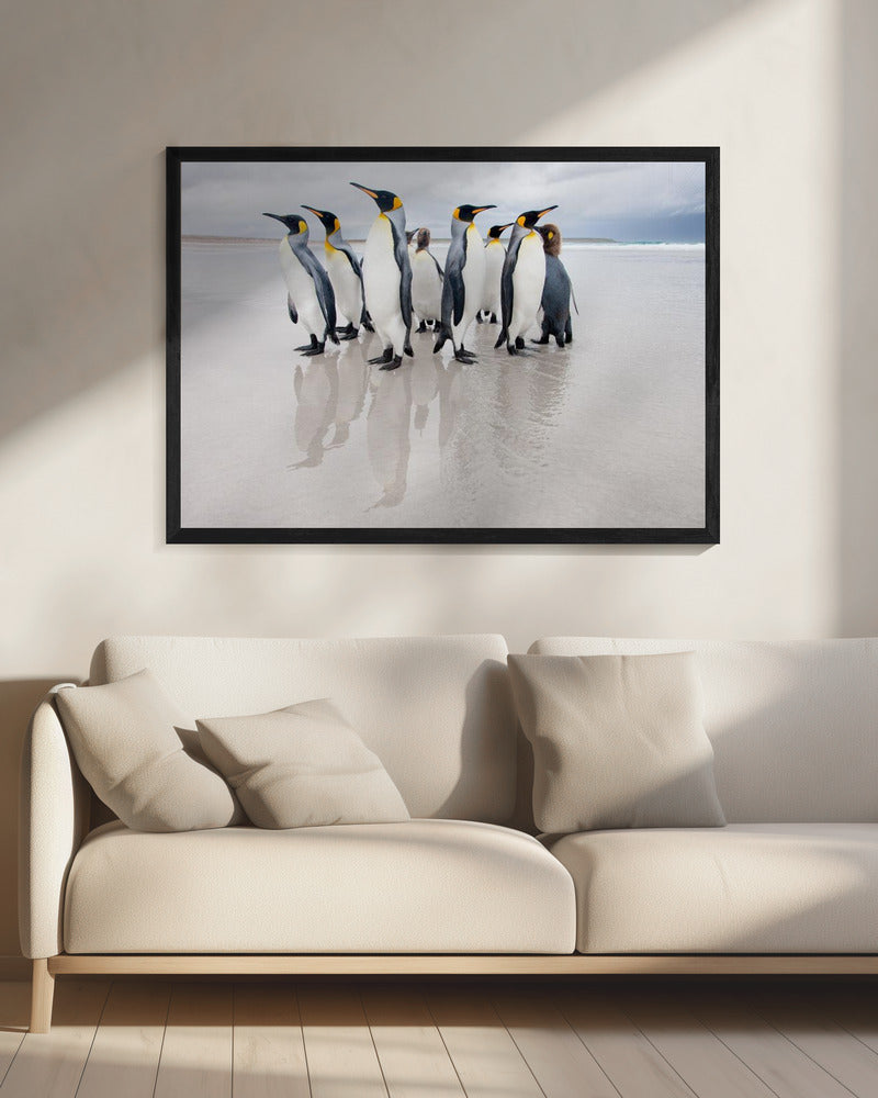 Bodyguard | Canvas