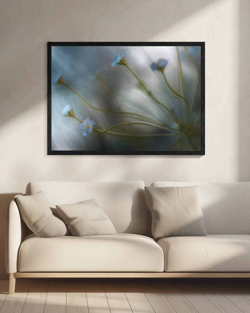 Jasmine | Canvas