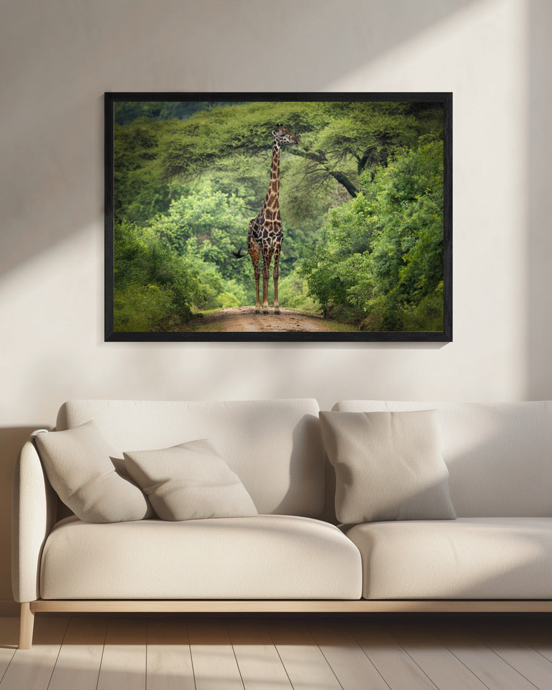 unexpected meeting | Canvas