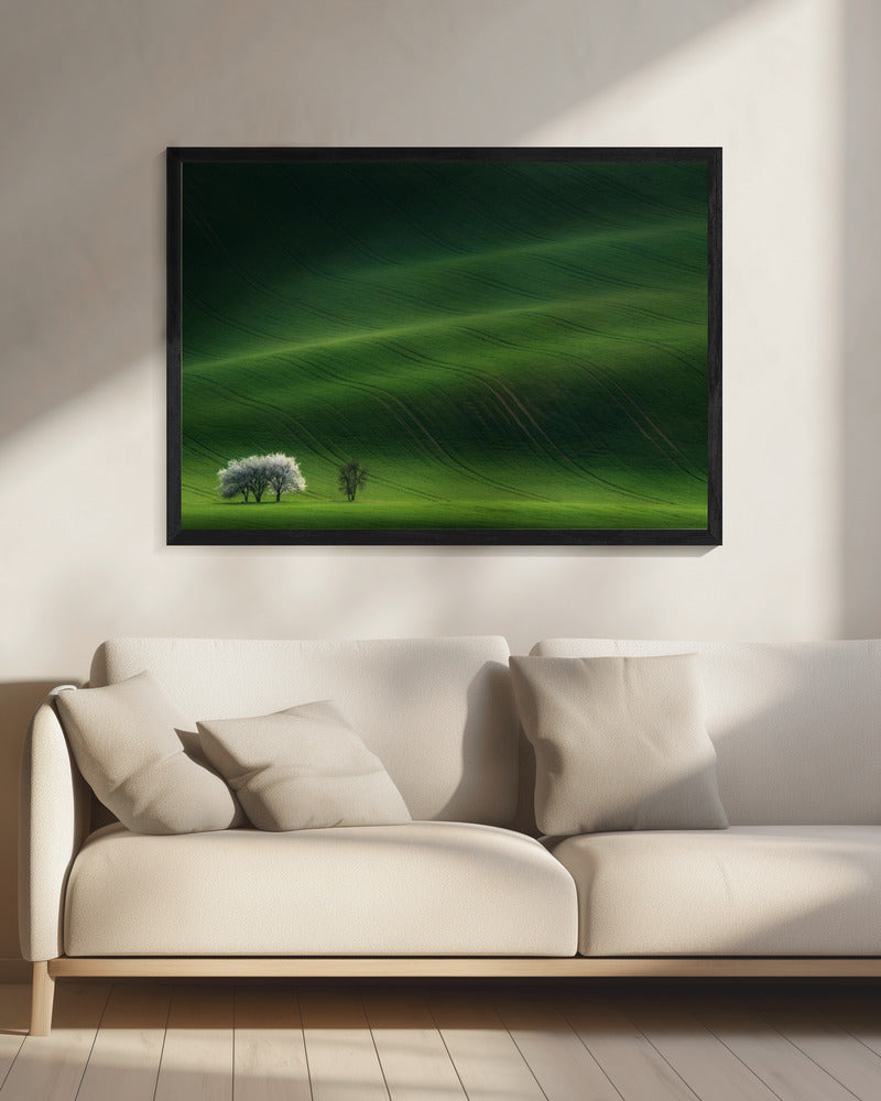 Ladies in White | Canvas