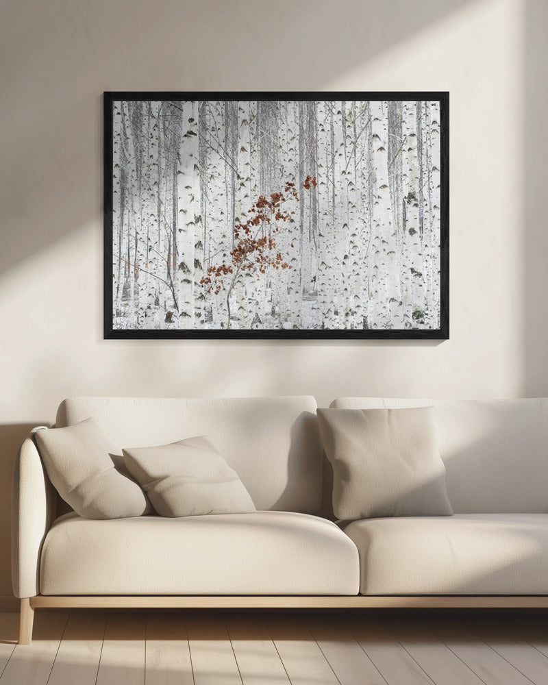 From White | Canvas