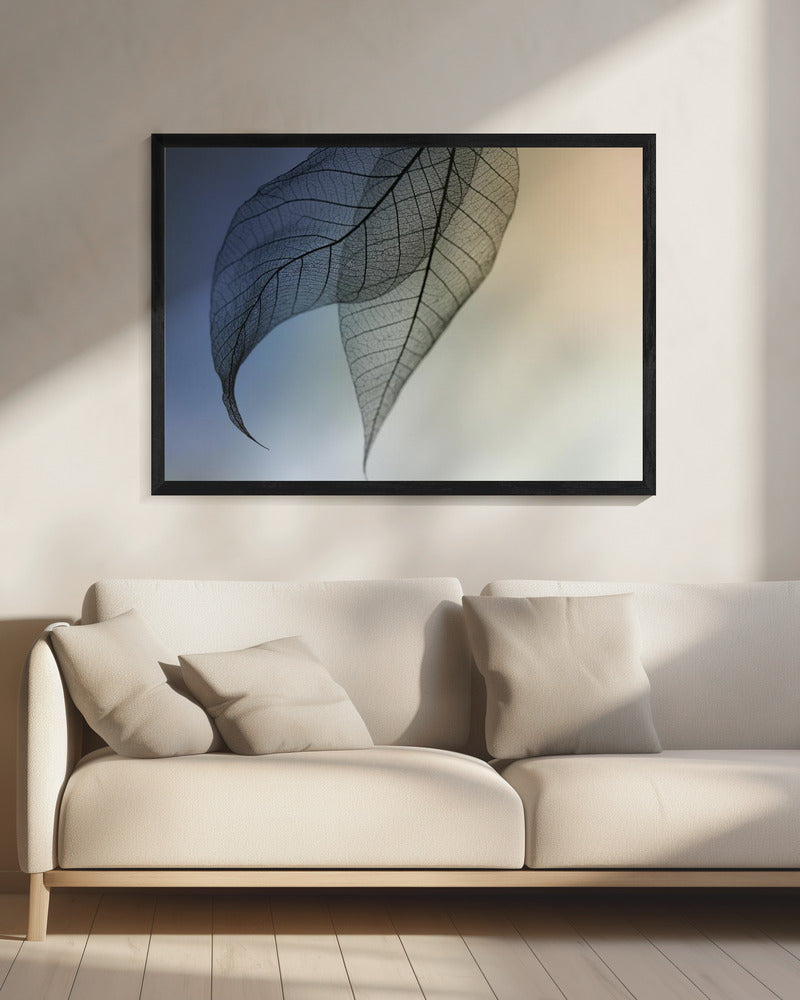 Cavatina | Canvas