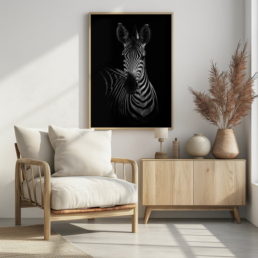 The Zebra | Poster