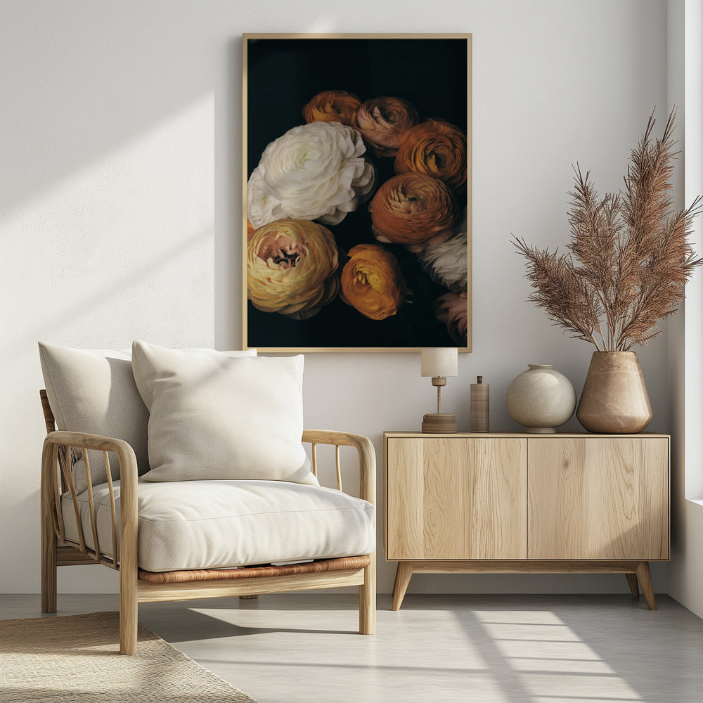 Ranunculus | Poster