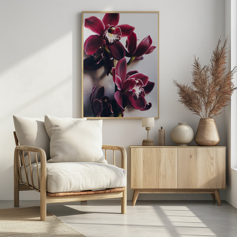 Orchid Elegance | Poster