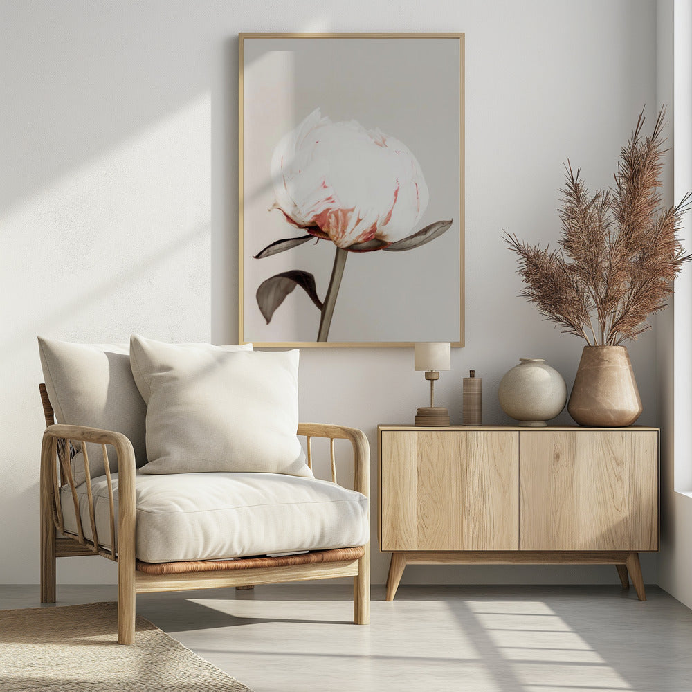 Peony 13 | Poster