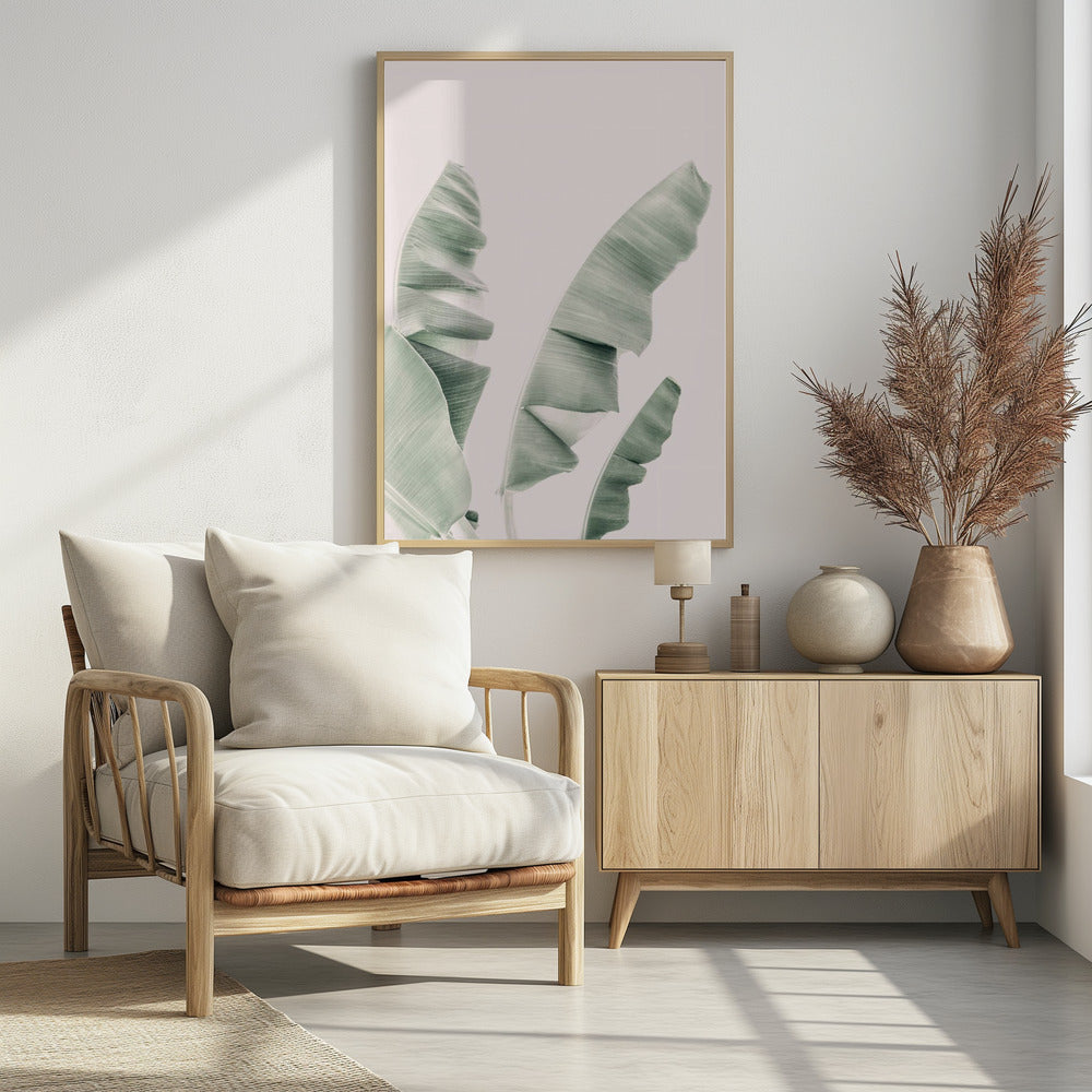 Blush Banana Leaves | Poster