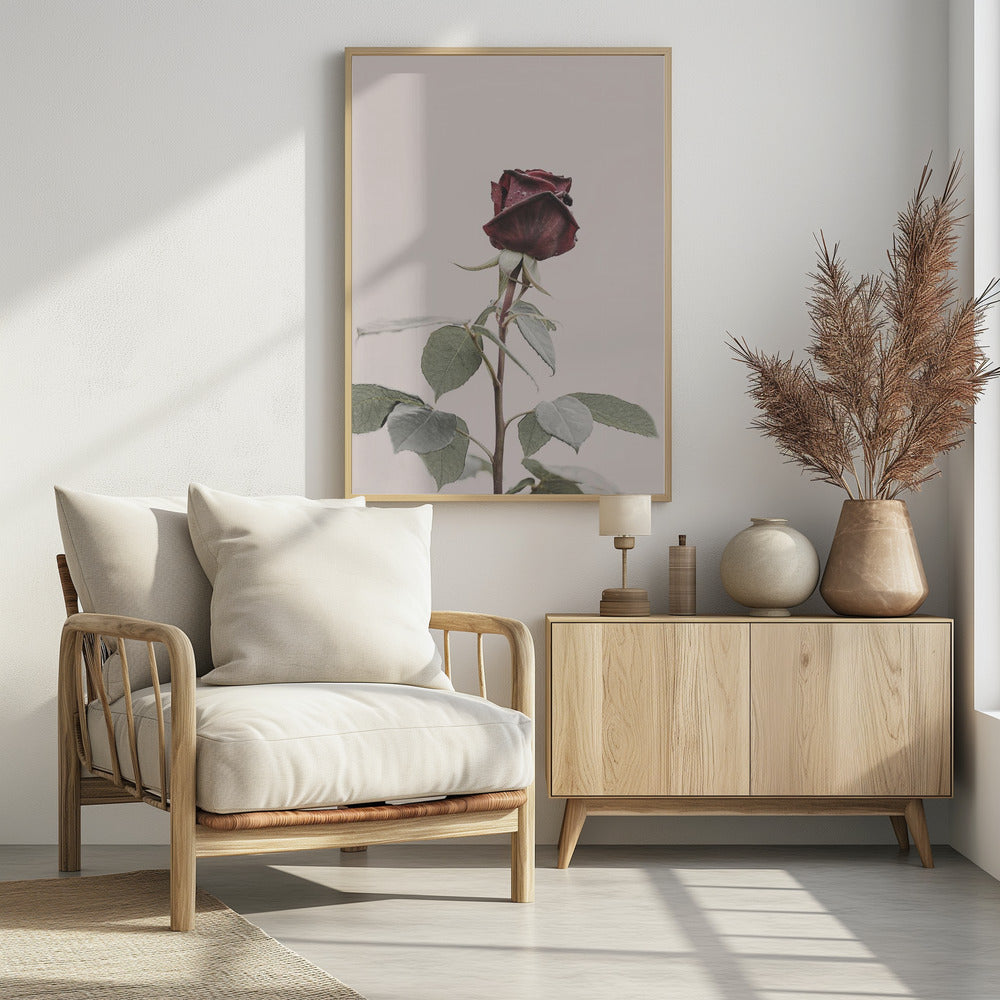 Rose | Poster