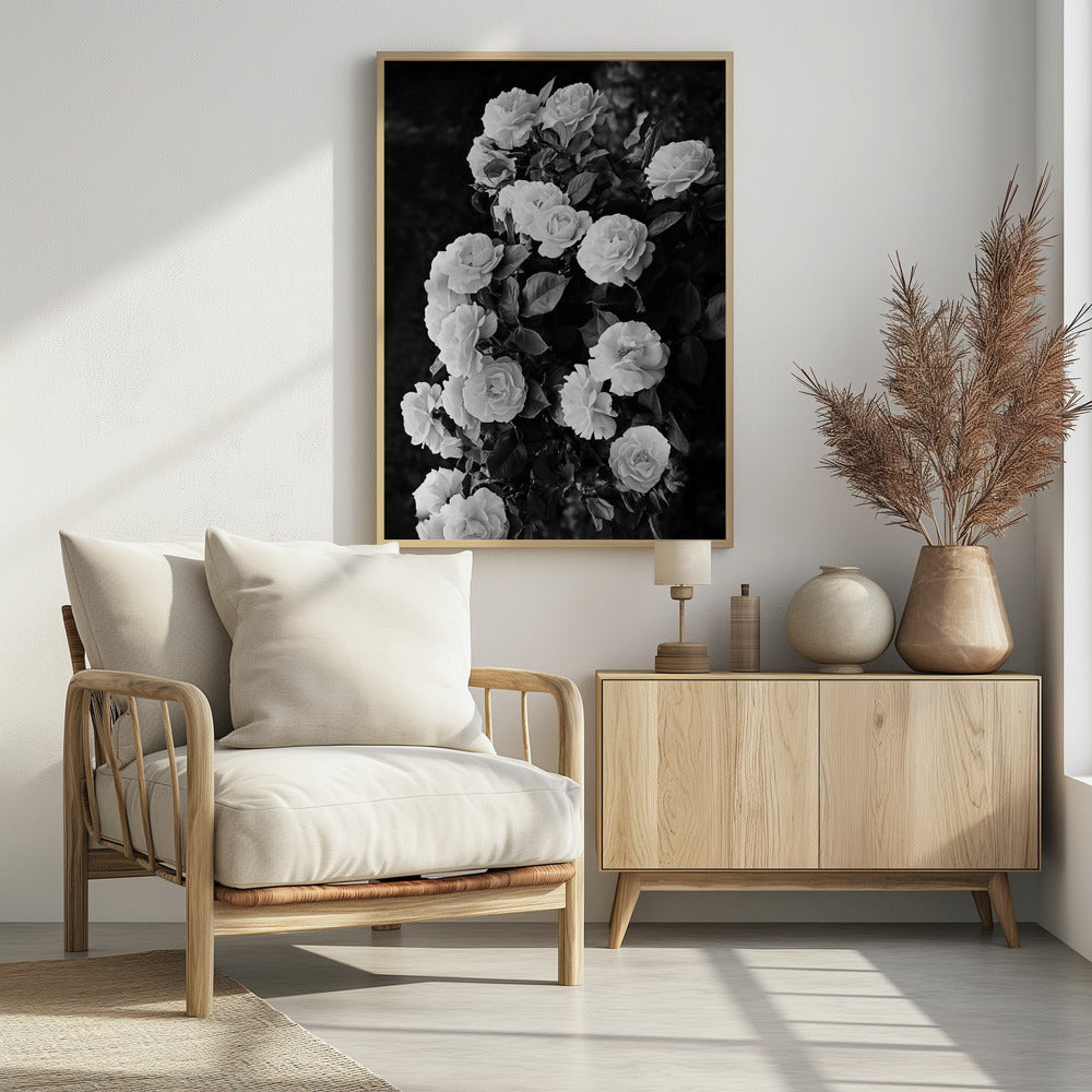 Rose Bush | Poster