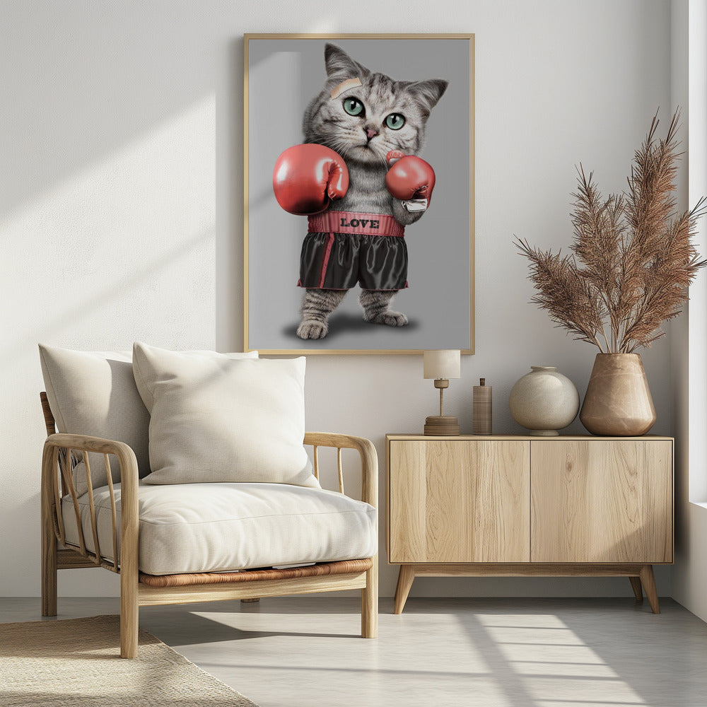 boxing cat | Poster
