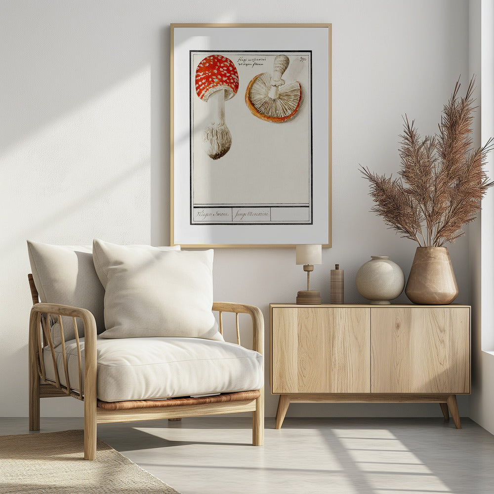 Fly Agaric, Amanita Muscaria | Poster